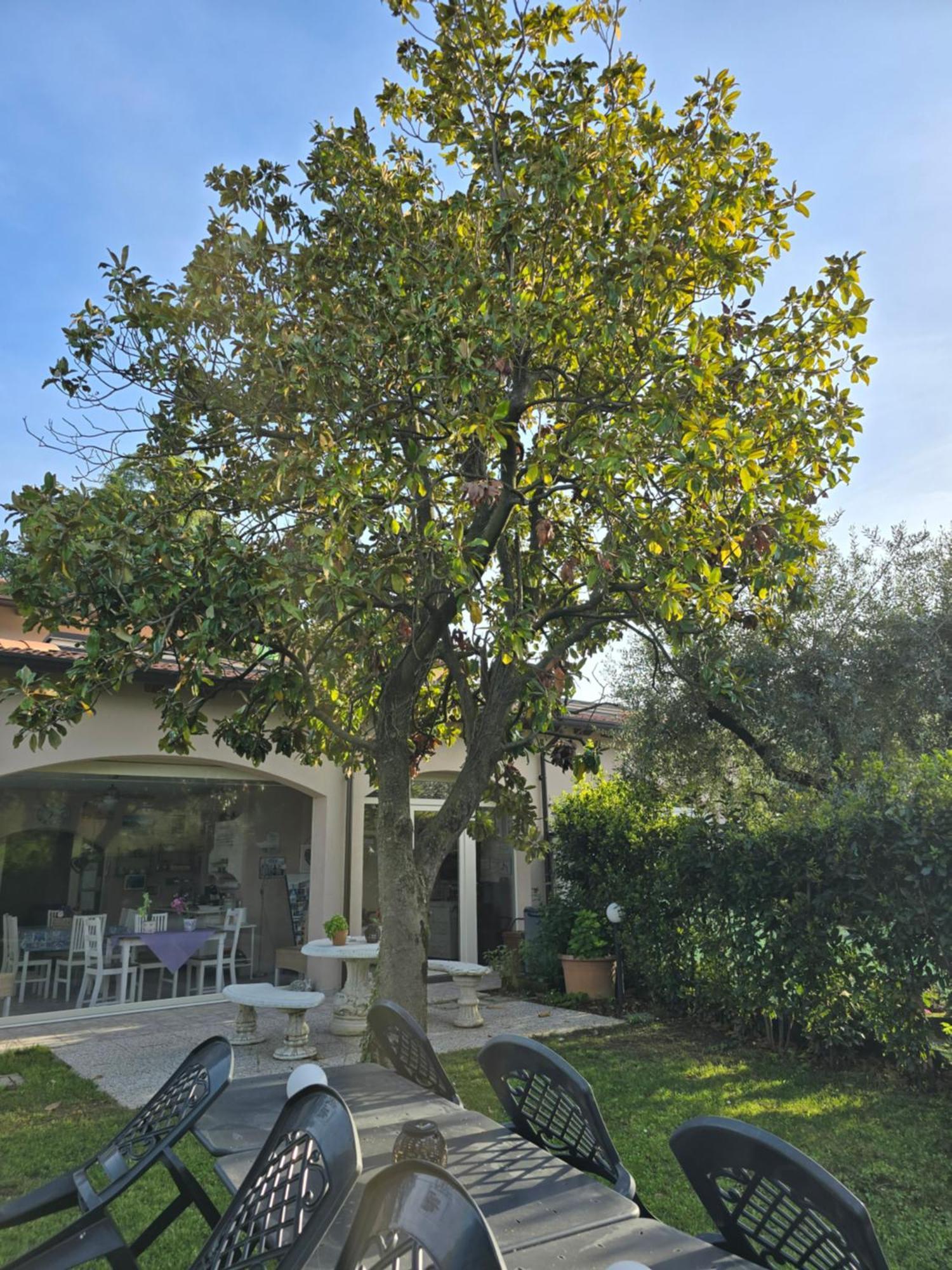 Villa Indipendente A Pochi Passi Dal Lago Сан-Феличе-дель-Бенако Экстерьер фото